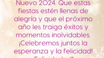 "El Directorio Nacional de SINATI les desea una Feliz Navidad y un próspero Año Nuevo 2024. Que estas fiestas estén llenas de alegría y que el próximo año les traiga éxitos y momentos inolvidables. ¡Celebremos juntos la esperanza y la felicidad! ¡Felicidades!"