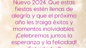 "El Directorio Nacional de SINATI les desea una Feliz Navidad y un próspero Año Nuevo 2024. Que estas fiestas estén llenas de alegría y que el próximo año les traiga éxitos y momentos inolvidables. ¡Celebremos juntos la esperanza y la felicidad! ¡Felicidades!"